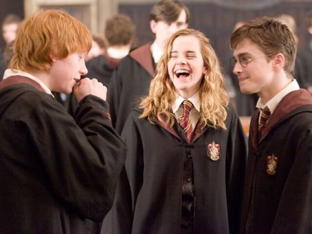 Expert em Harry Potter