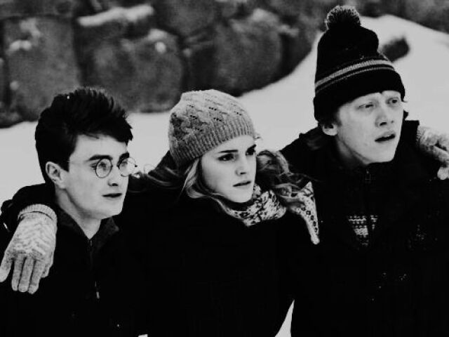 Entusiasta de Harry Potter