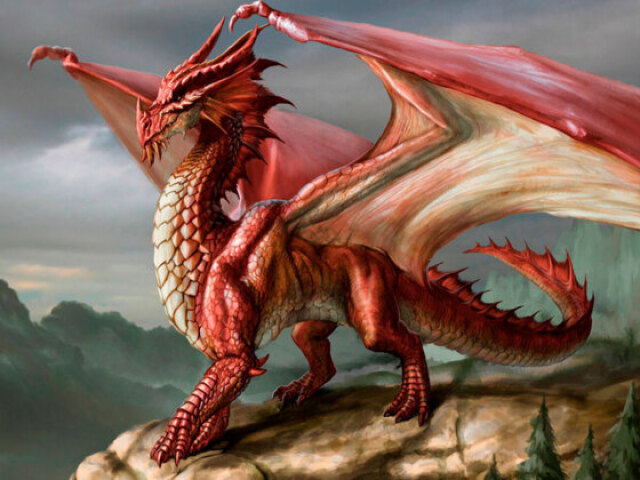 Dragão do fogo
