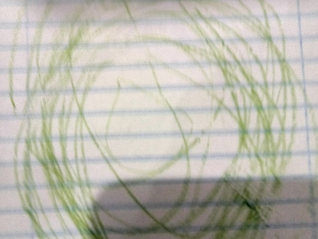 Cinto
(Correto)
