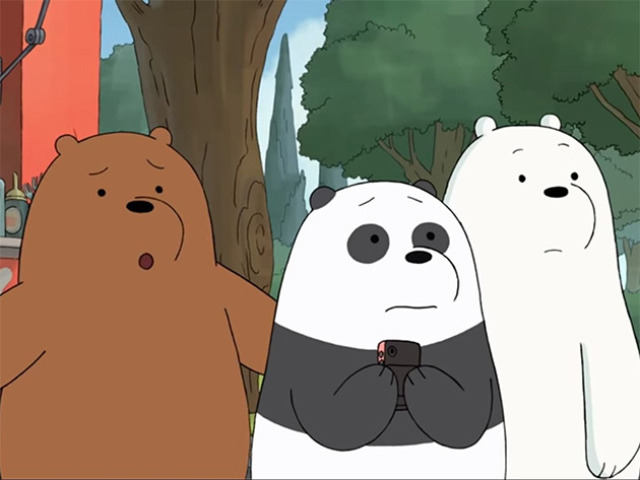 Você seria o Pardo, Panda ou Polar?