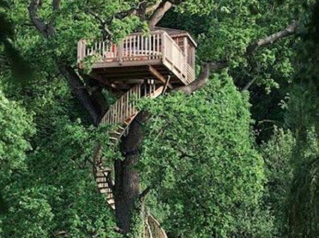 em uma casa da arvore na floresta atrás do castelo com vista para a cachoeira