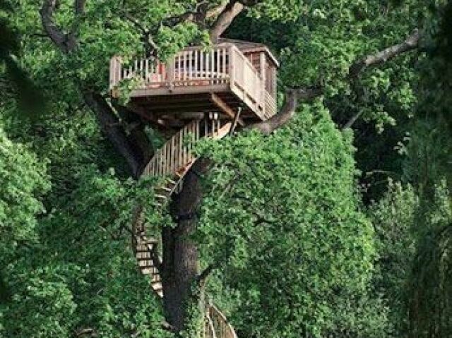 em uma casa da arvore na floresta atrás do castelo com vista para a cachoeira