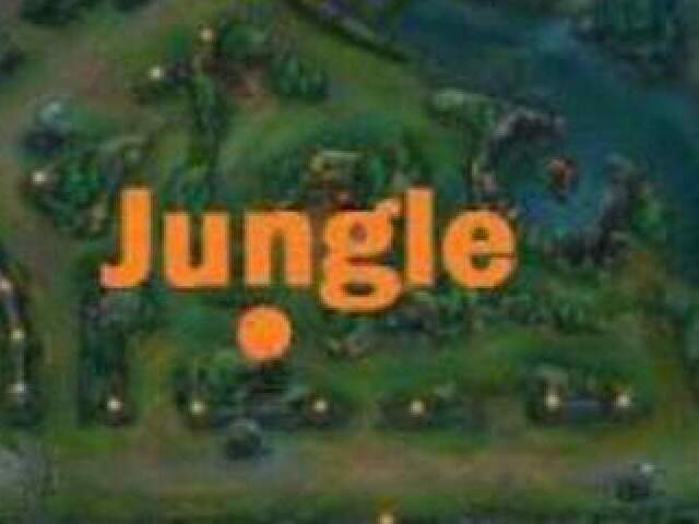 Jungle