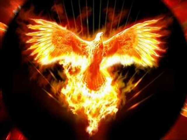 Fenix