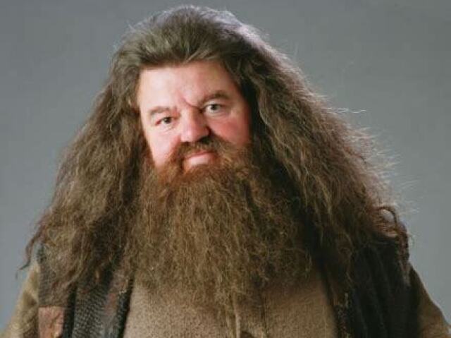 De Hagrid