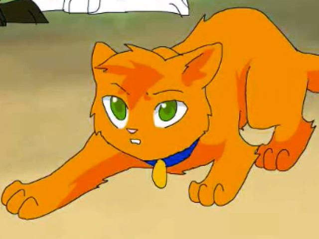 Gatos Guerreiros - Livros