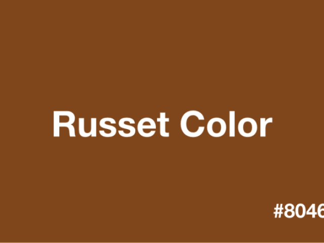 ・₊˚ᝰ🎂つ⁺₊﹕Russet Brown