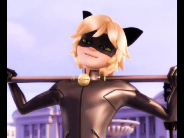 Cat noir