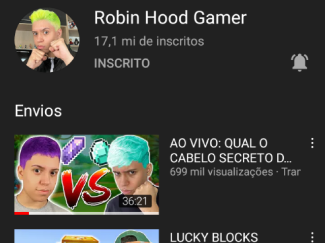 Robim hood gamer