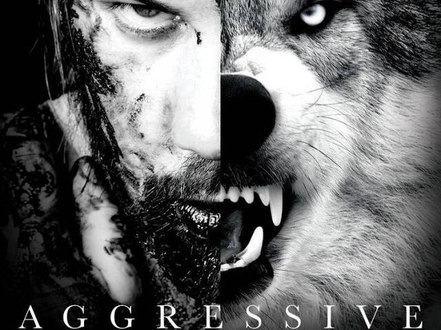 Aggressive (álbum)