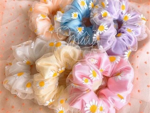 ‧₊˚✩彡Scrunchies