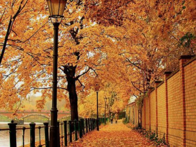 Outono 🍂🍁