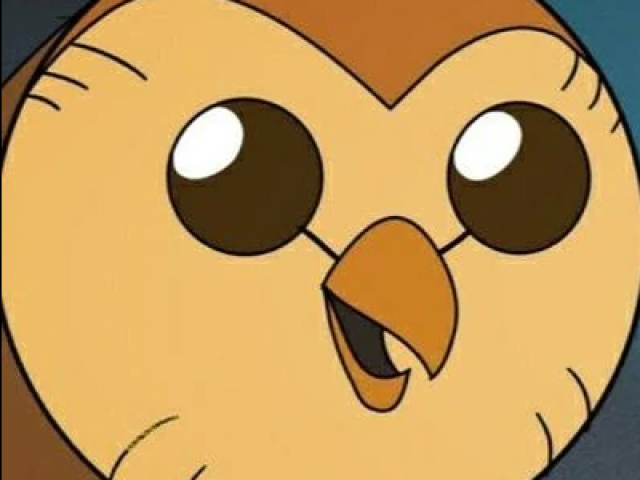Hoot
