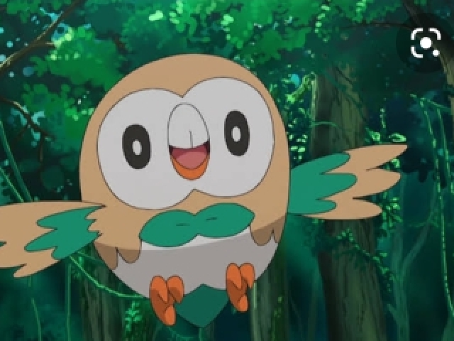 Rowlet🦉🍃(tipo planta)