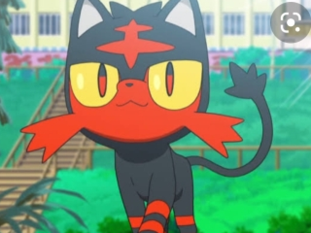 litten🐱🔥(tipo fogo)