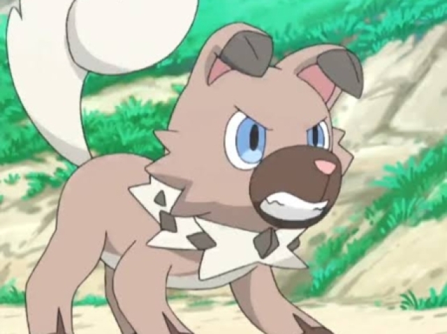 Rockruff🐶🗿(Tipo pedra)