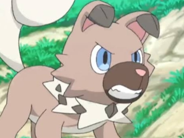 rockruff🐶🗿(Tipo pedra)