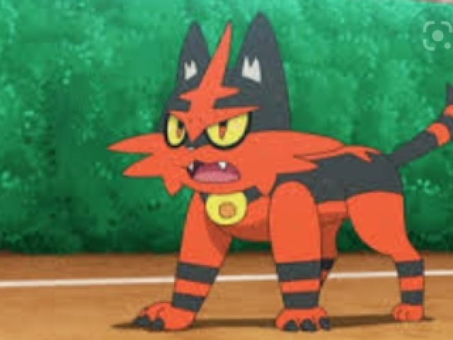 torracat🐱🔥(Tipo fogo)