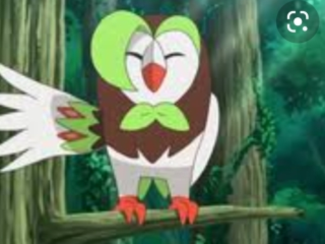 Dartrix🦉🍃(Tipo voador e grama)