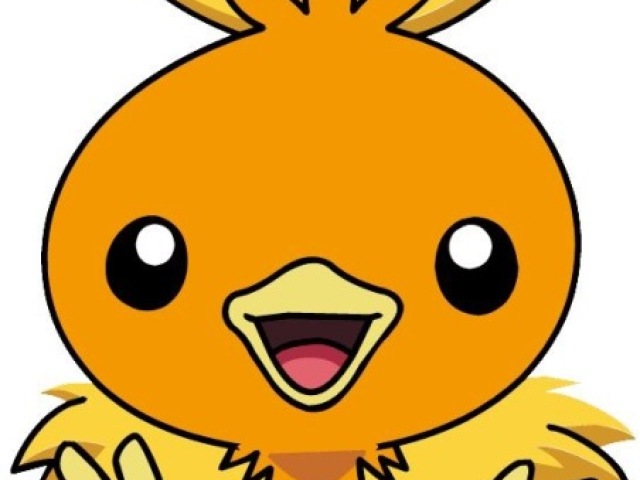 Torchic
