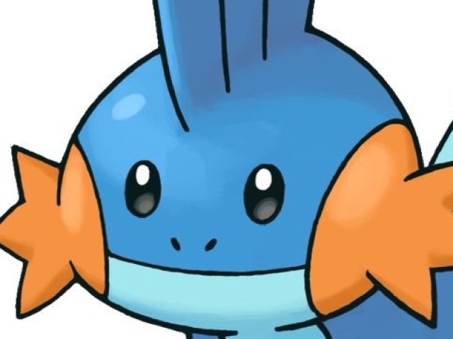 Mudkip