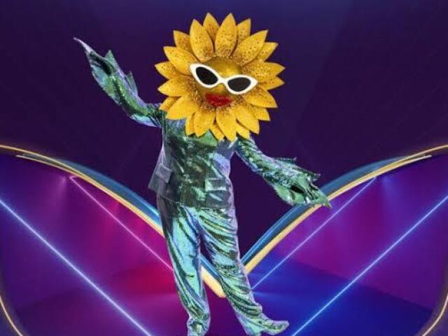 Girassol
