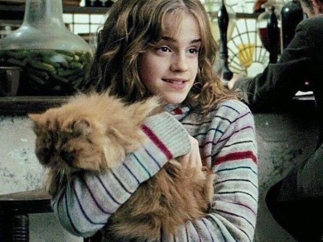 Você realmente conhece a Hermione Granger?