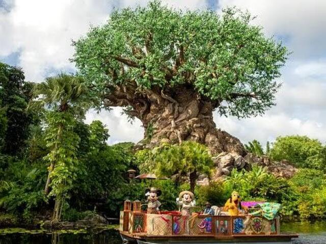 Animal Kingdom