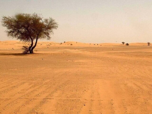 Deserto