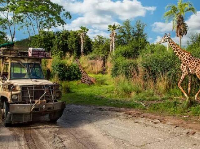 Kilimanjaro Safaris