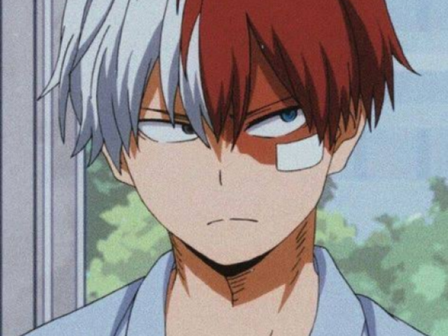 Shoto todoroki