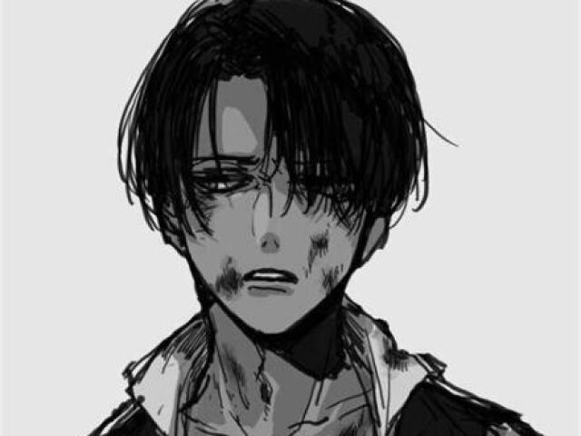 Levi