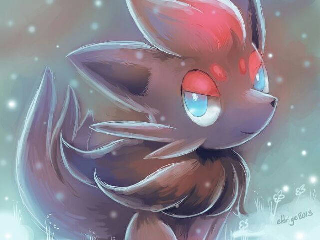 zorua