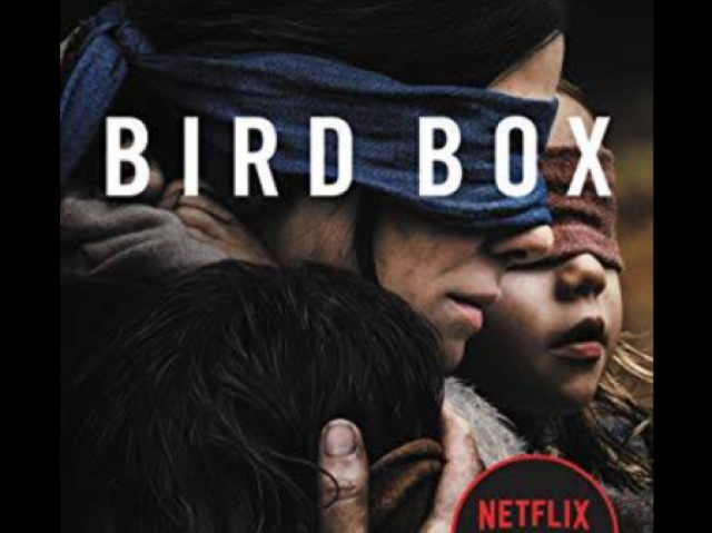 BIRD BOX