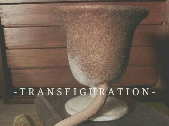 Transfiguração