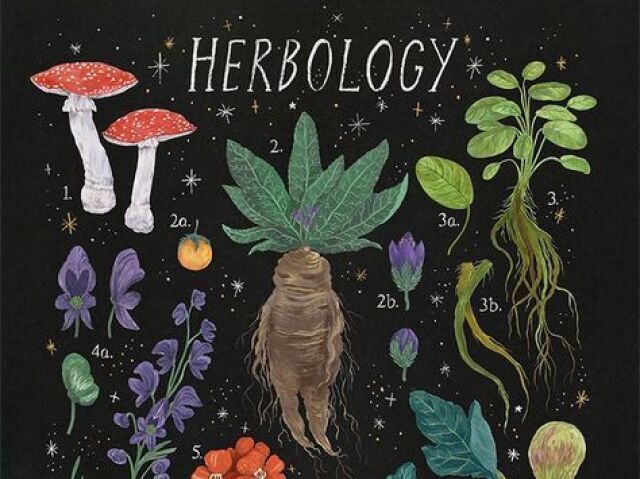 Herbologia