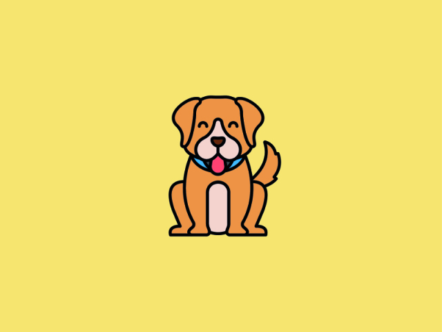 Cachorro