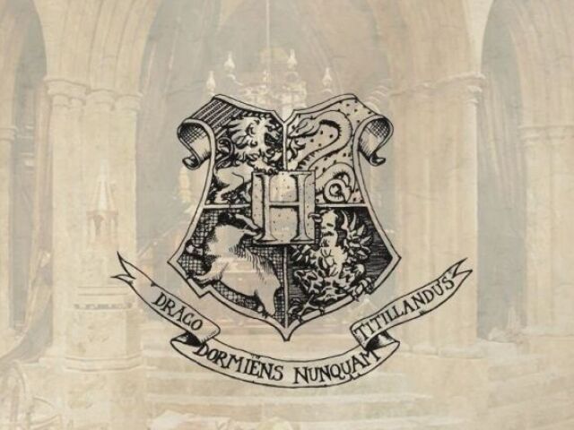 Você conhece Harry Potter?