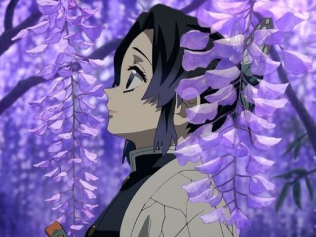 🦋Kochou Shinobu🦋