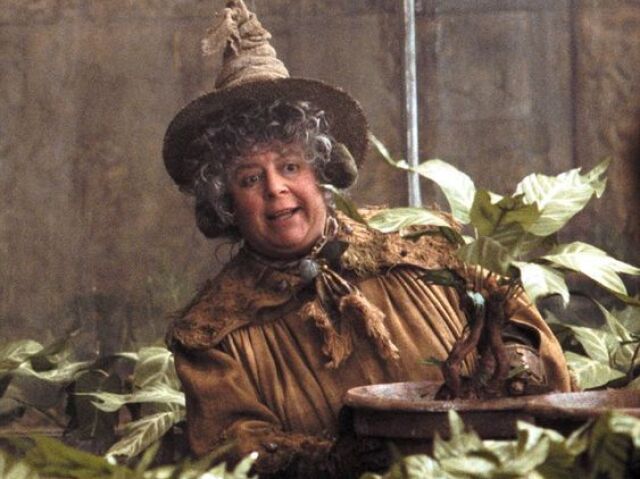 Pomona Sprout