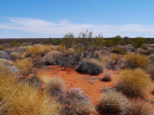 Deserto australiano