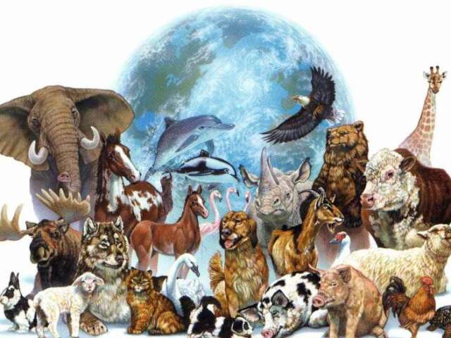 Qual animal voce seria