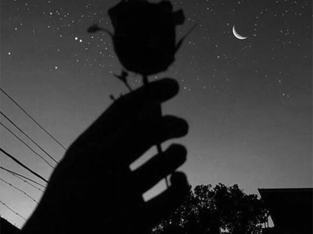 Dark