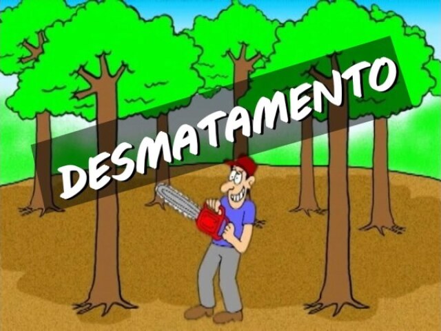 DESMATAMENTO