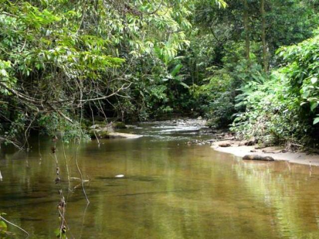 Gostaria de viver às margens de um rio ou riacho