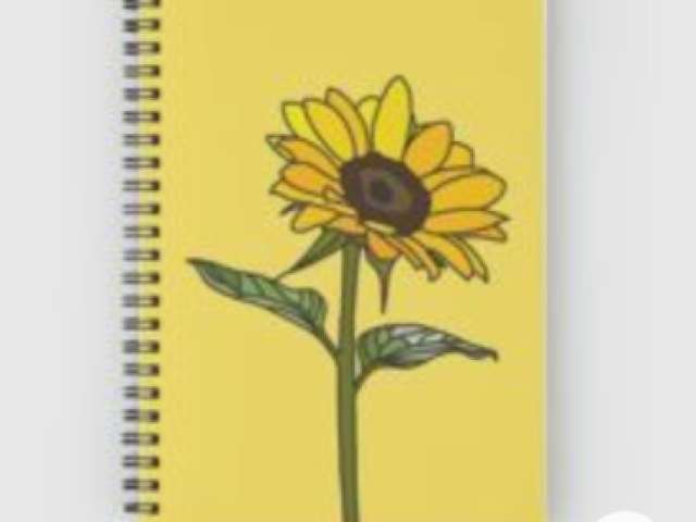 girasol fundo amarelo