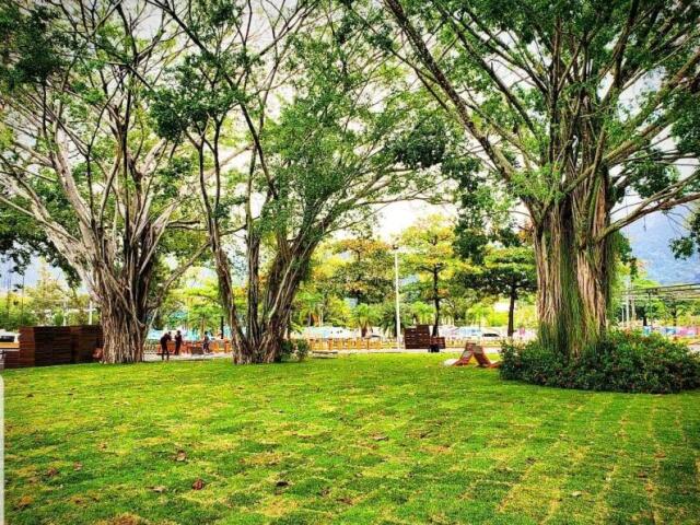 Vou para um parque e levo alguns livros