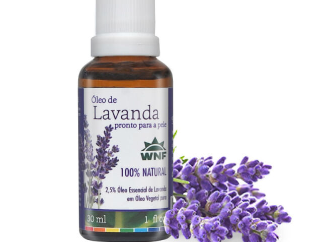 Lavanda