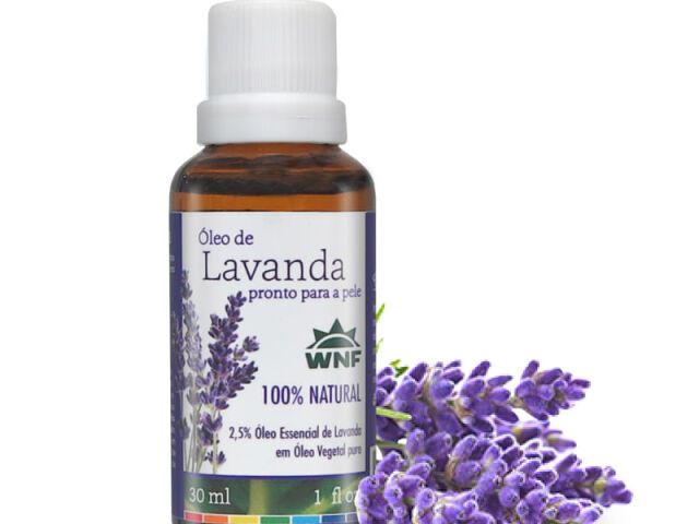 Lavanda